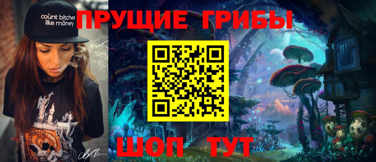 Куйбышев  Псилоцибиновые грибы прущие грибы  Вход с VPN 